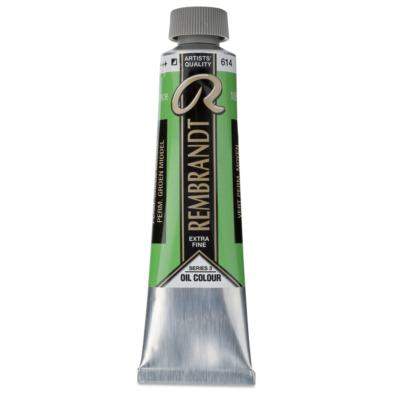 Rembrandt Artists' Oil Color - Permanent Green Medium, 40 ml tube